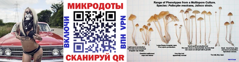 Галлюциногенные грибы GOLDEN TEACHER  Баксан 