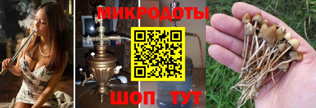 Галлюциногенные грибы ЛСД Баксан