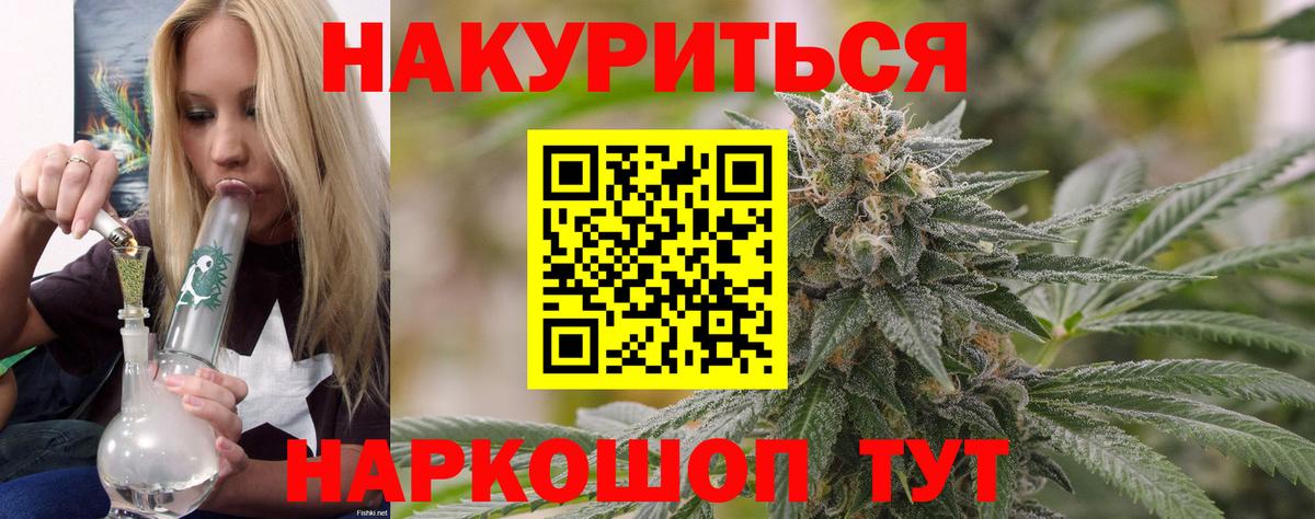 Каннабис план Баксан