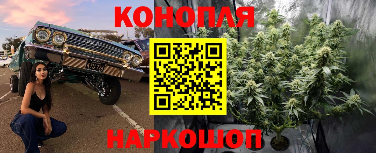 Бошки Шишки Ganja  Вход с VPN  Шишки марихуана VHQ  Баксан 